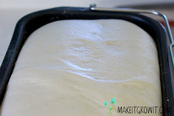 Bun dough in the bread machine pan.