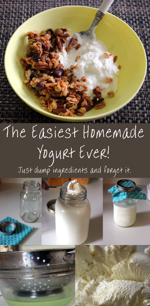 Seriously the easiest way to make homemade yogurt! No yogurt maker or special equipment needed.