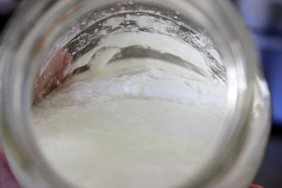 Yogurt after fermenting