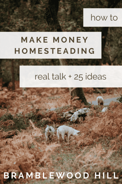 how to make money homesteading: 25 ideas and real talk